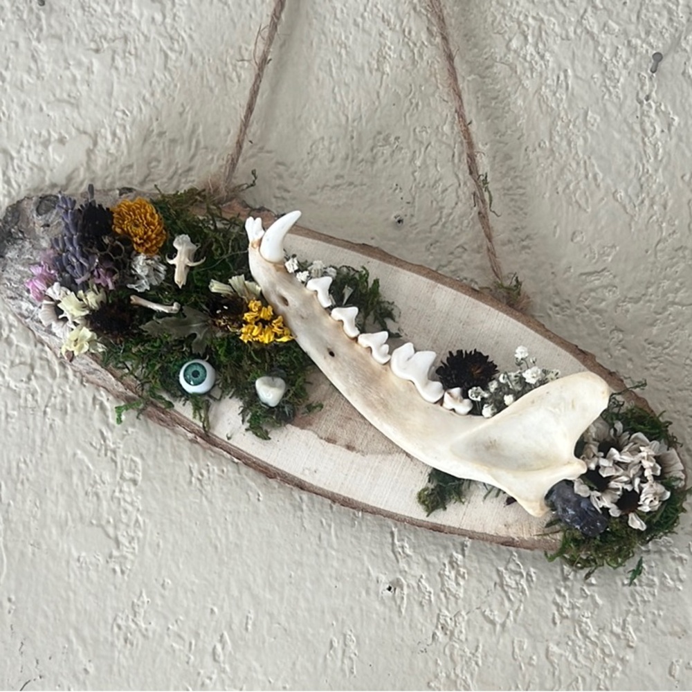 Rustic Floral Jawbone Wall Art